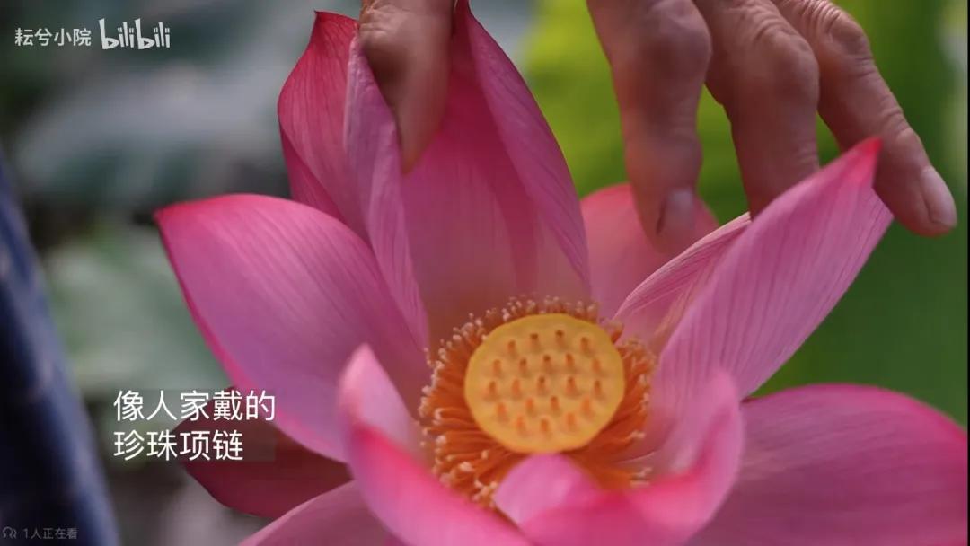 一位農民爺爺的意外走紅:人生最好的活法,就這4個字