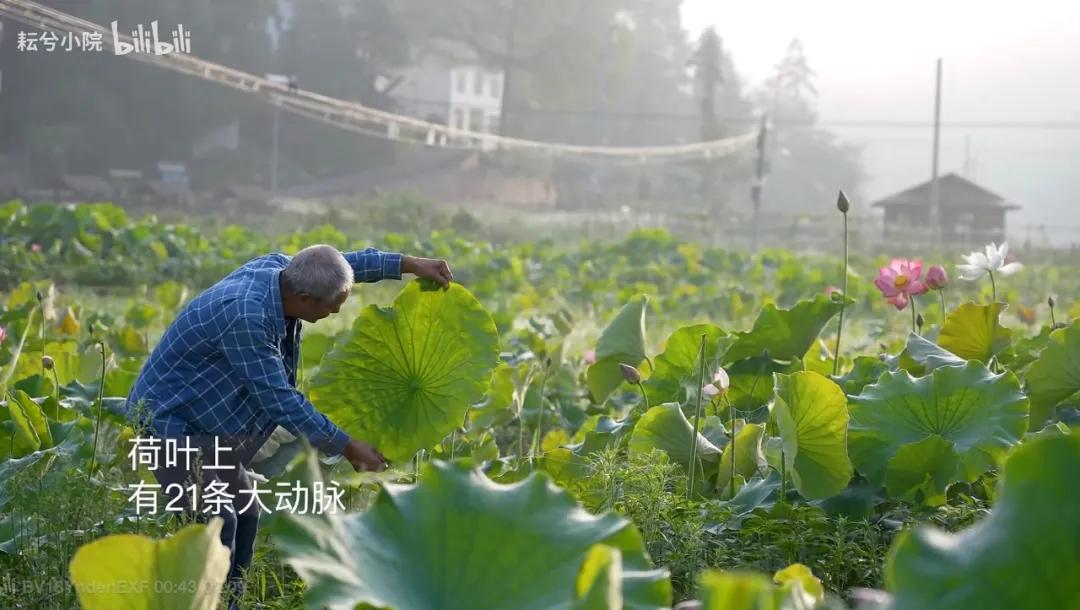 一位農民爺爺的意外走紅:人生最好的活法,就這4個字