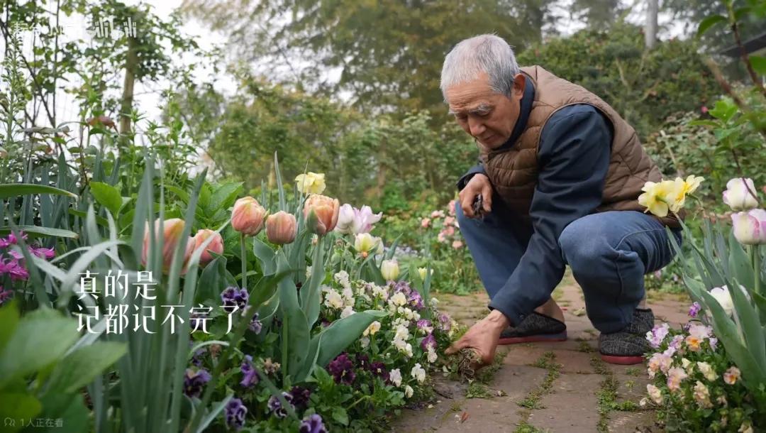 一位農民爺爺的意外走紅:人生最好的活法,就這4個字