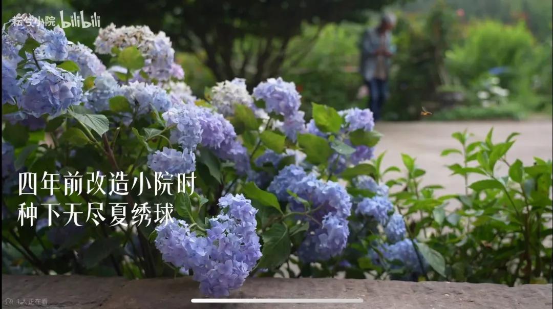 一位農民爺爺的意外走紅:人生最好的活法,就這4個字