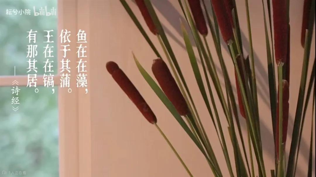 一位農民爺爺的意外走紅:人生最好的活法,就這4個字