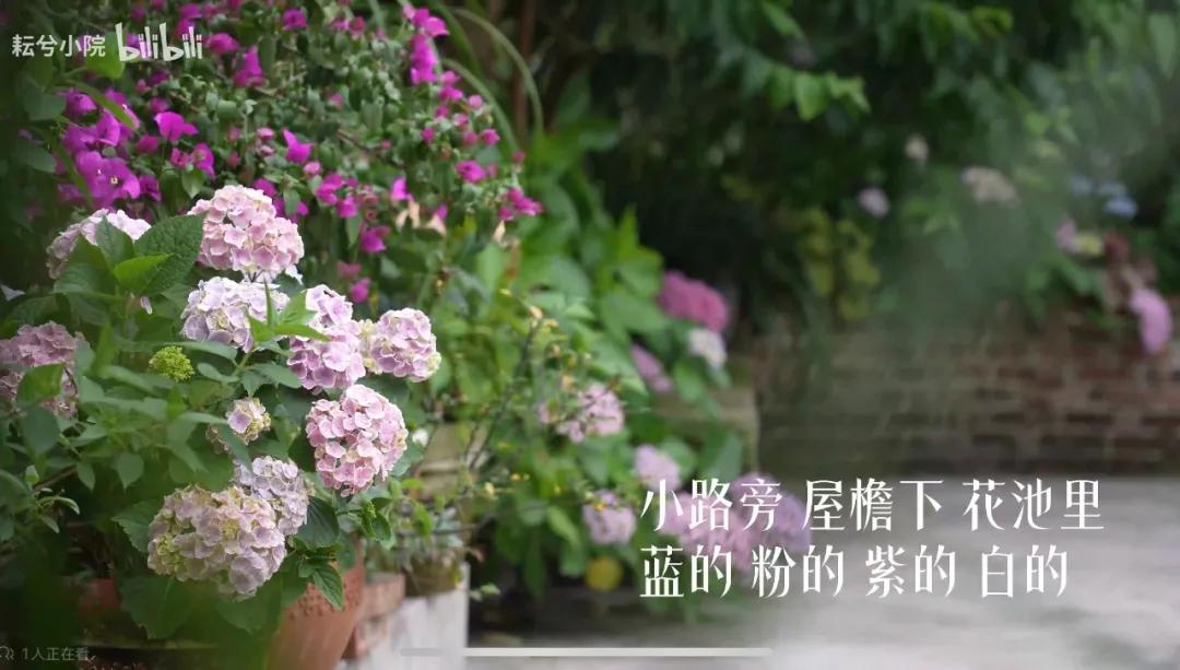 一位農民爺爺的意外走紅:人生最好的活法,就這4個字