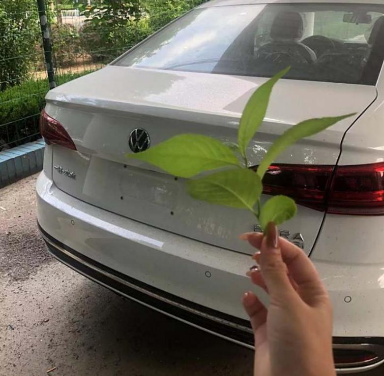 從歷史走來,大眾寶來的創新蛻變