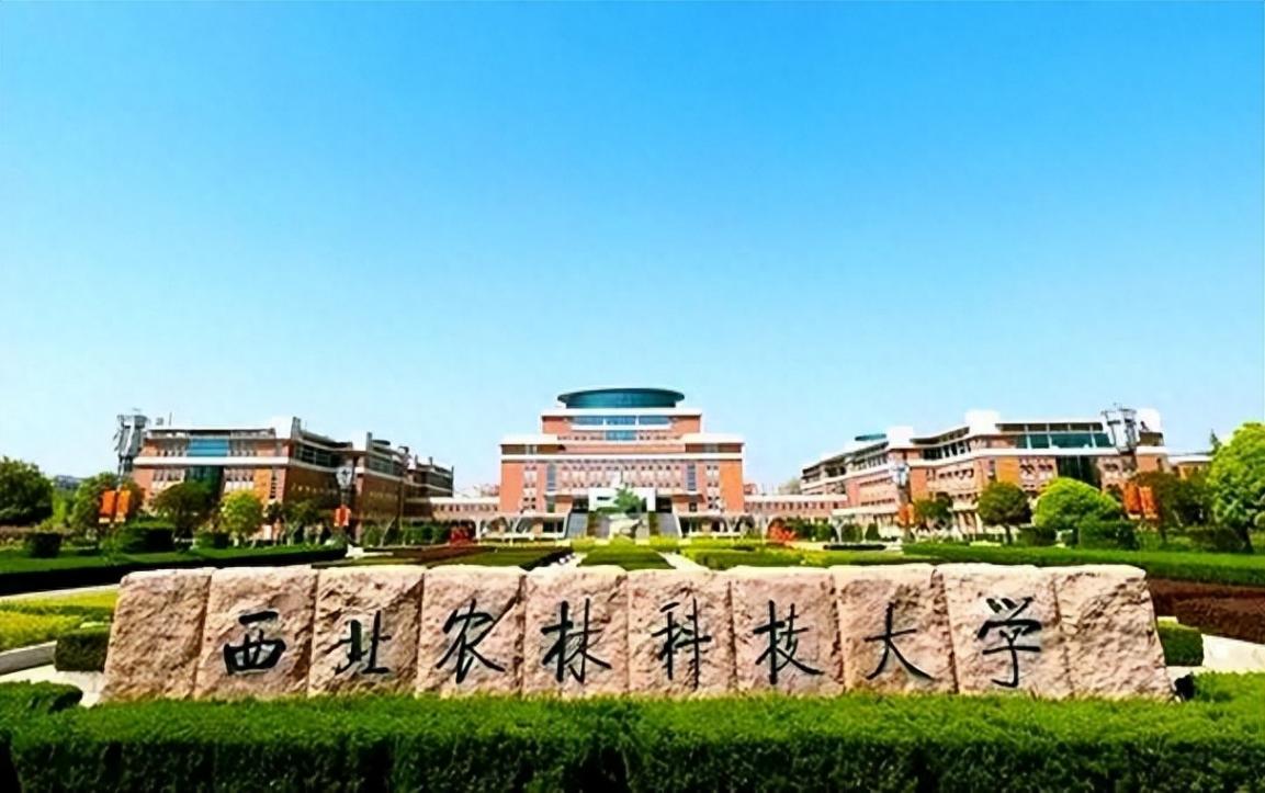 我國最好考的2所985大學,最低錄取分已跌破600,堪稱“白菜價”